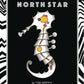 NORTH STAR ONE SHOT (SHIPS 03-31-21) - PCKComics.com