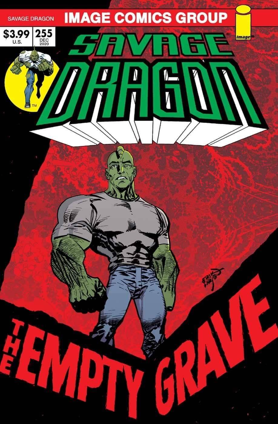 SAVAGE DRAGON #255 CVR B RETRO 70S TRADE DRESS (MR) (SHIPS 12-16-20) - PCKComics.com